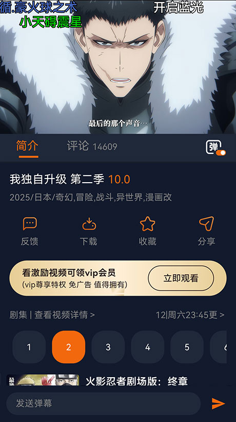 囧次元番剧详情与选集播放页
